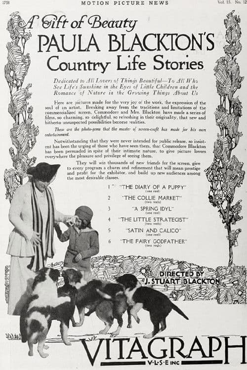 The Fairy Godfather (1917) poster