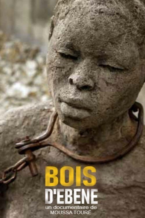 Bois d'ébène (2016) poster