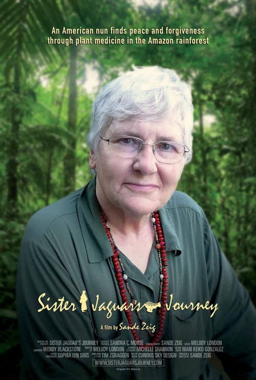 Sister Jaguar's Journey (2015) poster