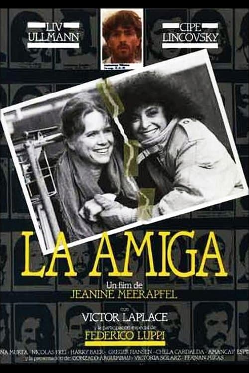 La amiga (1989) poster