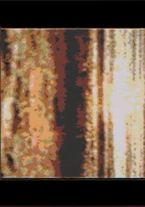 Angels Have No Thought Of Ever Returning You (2021) poster