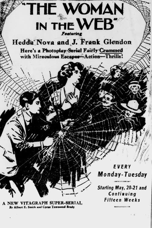 The Woman in the Web (1918) poster