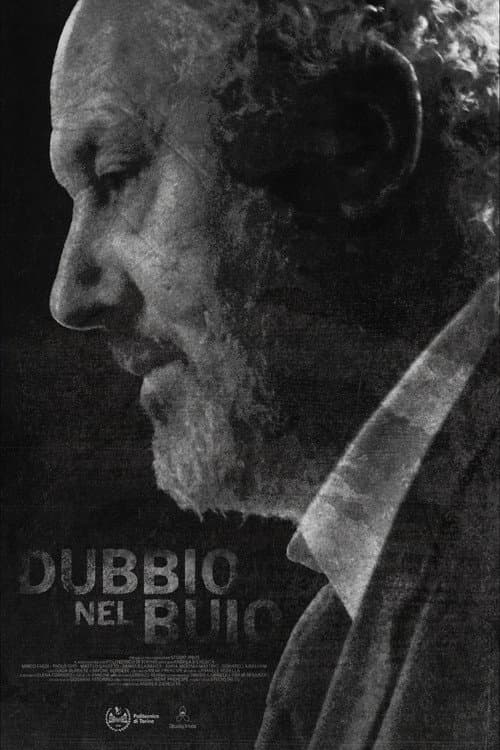 Dubbio nel buio (2026) poster