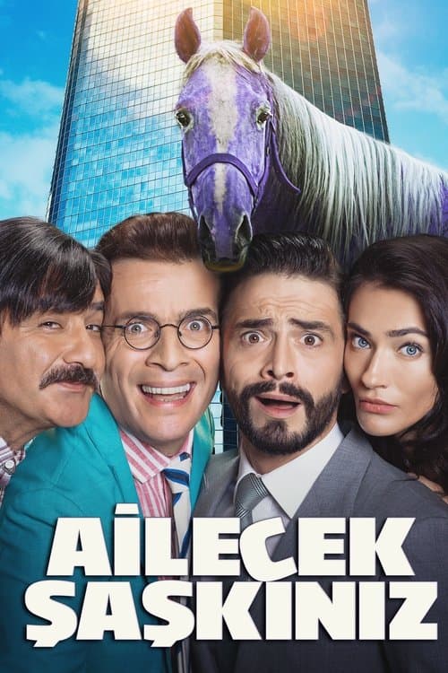 Ailecek Şaşkınız (2018) poster