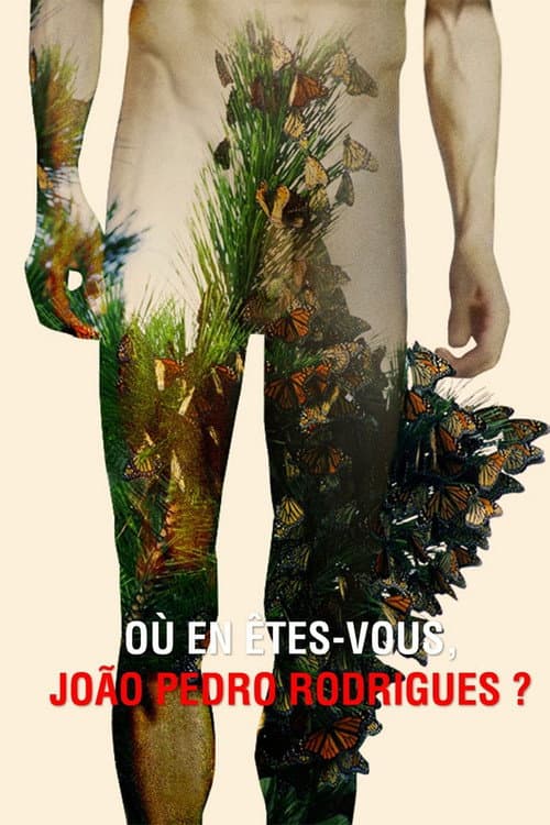 Où en êtes-vous, João Pedro Rodrigues ? (2016) poster