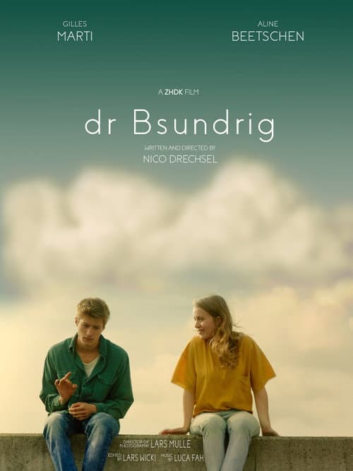 dr Bsundrig (2020) poster