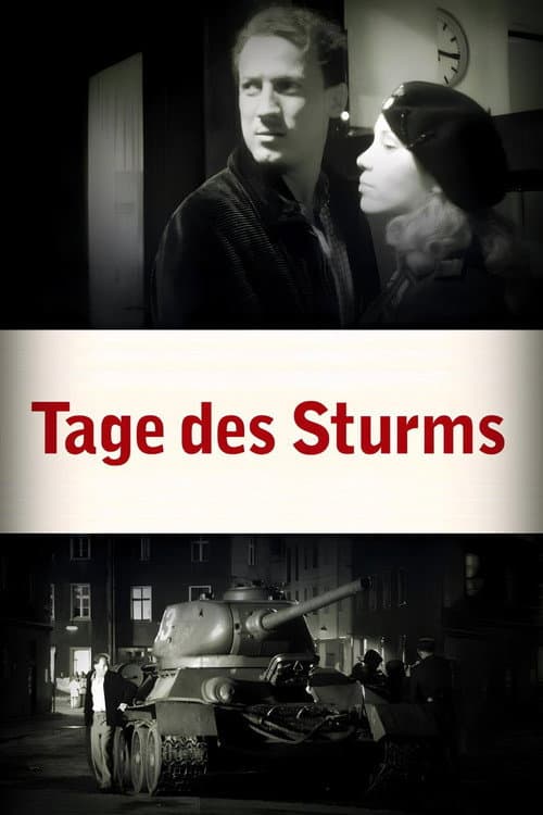 Tage des Sturms (2003) poster