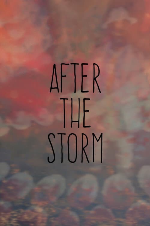 After the Storm (2017) poster