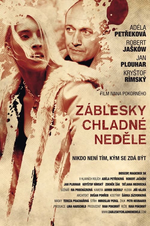 Záblesky chladné neděle (2012) poster