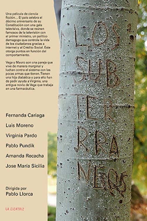 Los subterráneos (2021) poster