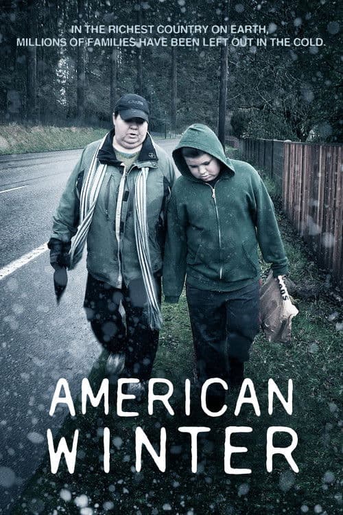 American Winter (2013) poster