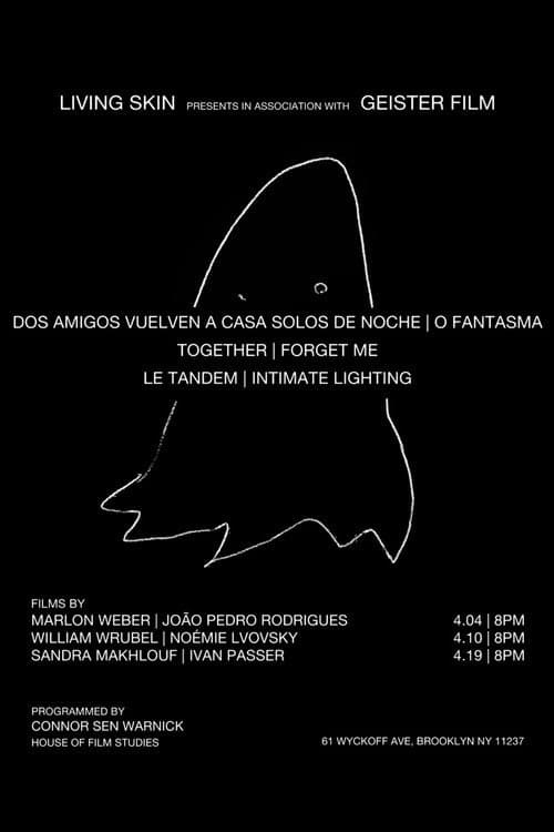Dos amigos regresan a casa solos de noche (2023) poster