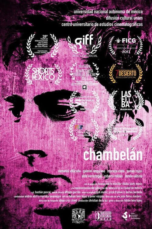 Chambelán (2017) poster