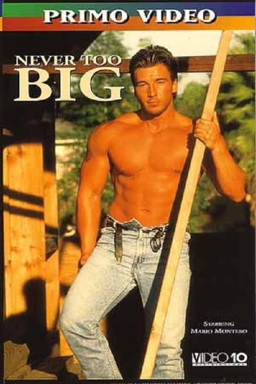 Never Too Big (1995) poster