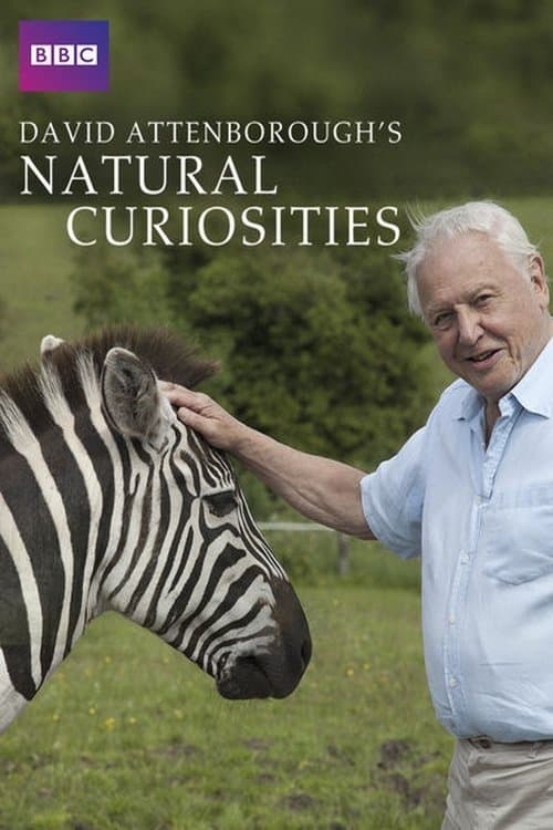 David Attenborough's Rariteitenkabinet (2013) poster