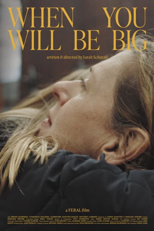When You Will Be Big (2026) poster