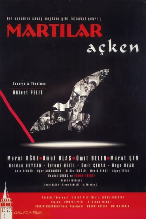 Martılar Açken (2003) poster