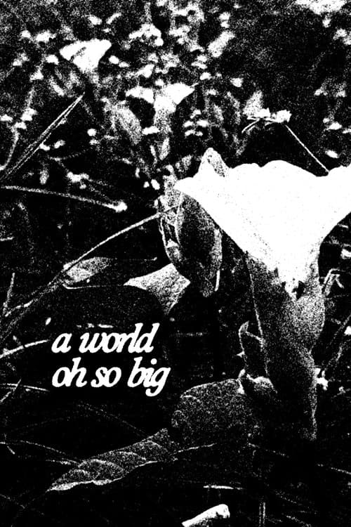 A World Oh So Big (2025) poster
