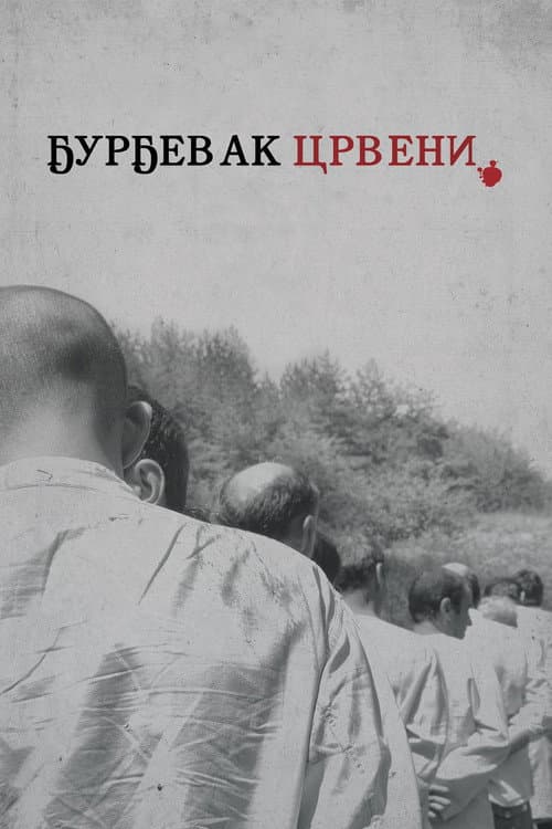 Ђурђевак црвени (2015) poster