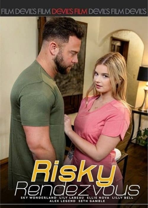 Risky Rendezvous (2026) poster