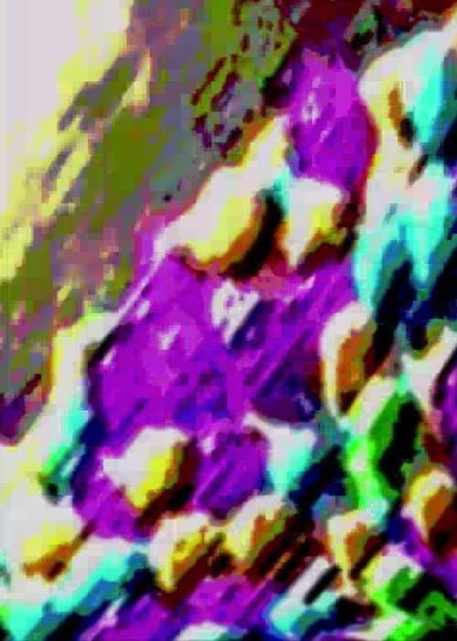 They Are Still In Bestowing Salvation (2022) poster