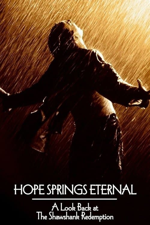 Hope Springs Eternal: A Look Back at The Shawshank Redemption (2004) poster