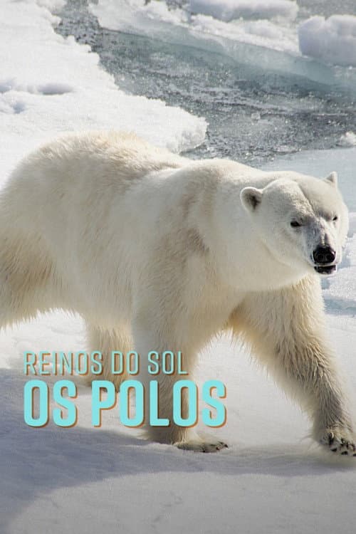 Polar: Kingdoms of the Sun (2023) poster