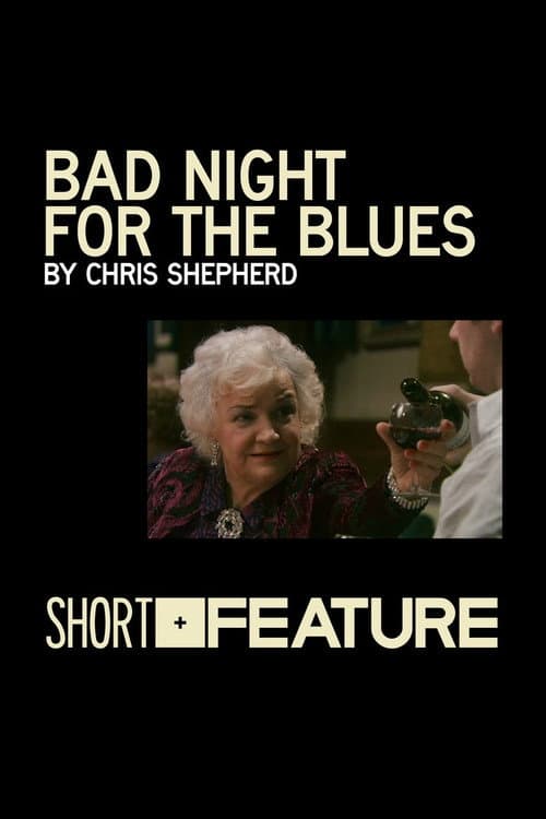 Bad Night for the Blues (2010) poster