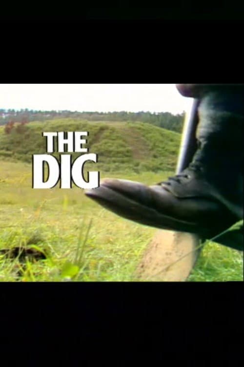 The Dig (1980) poster