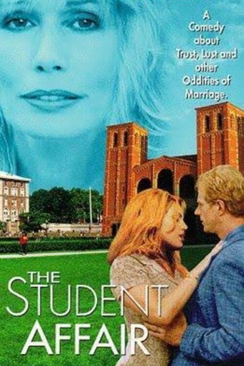 The Lay of the Land (1997) poster