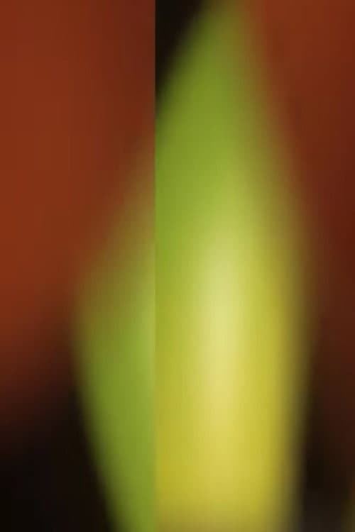 Stretch and Pull (2014) poster