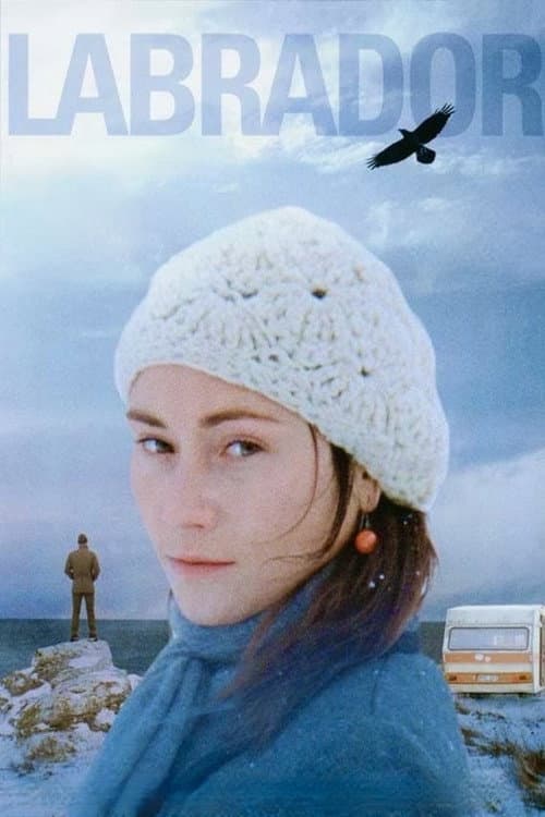 Labrador (2011) poster