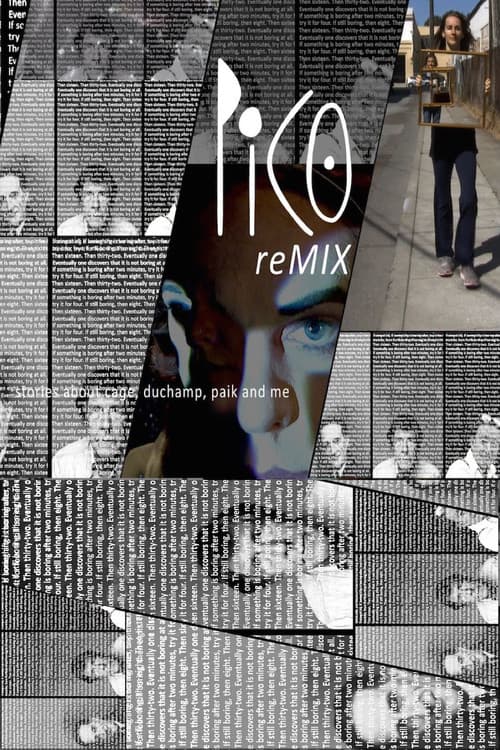 PICO (reMIX) (2012) poster