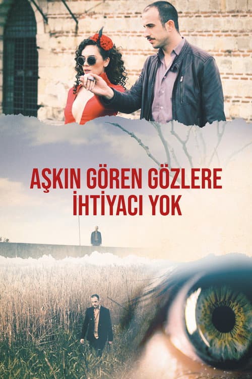 Aşkın Gören Gözlere İhtiyacı Yok (2017) poster
