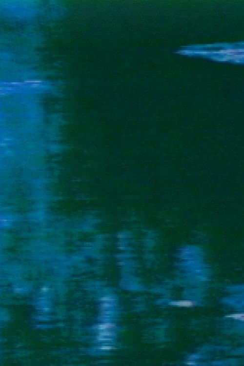 Monet Garden Synthesized (1989) poster