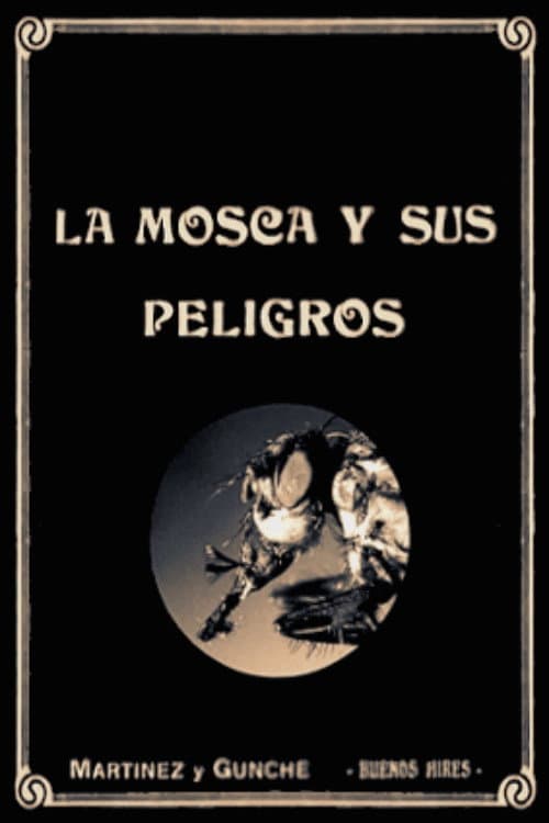 La mosca y sus peligros (1920) poster