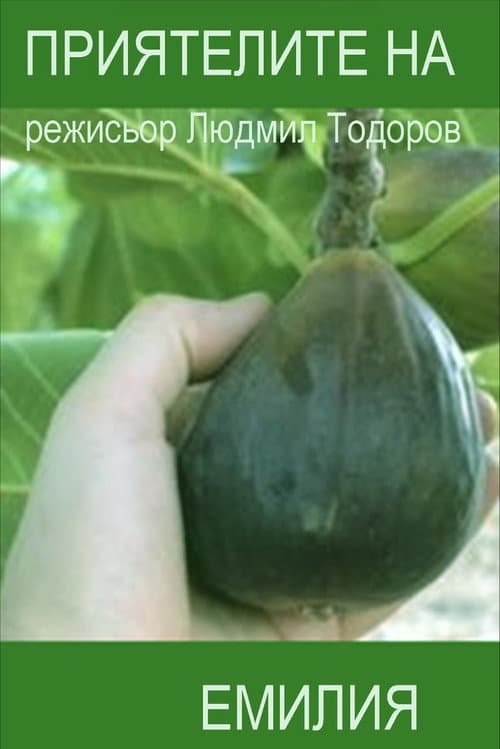 Приятелите на Емилия (1996) poster