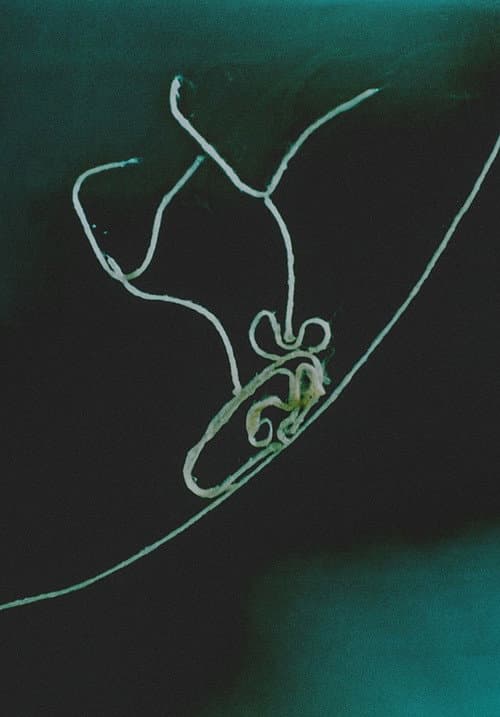 Materia (1963) poster