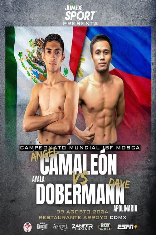 Angel Ayala vs. Dave Apolinario (2024) poster