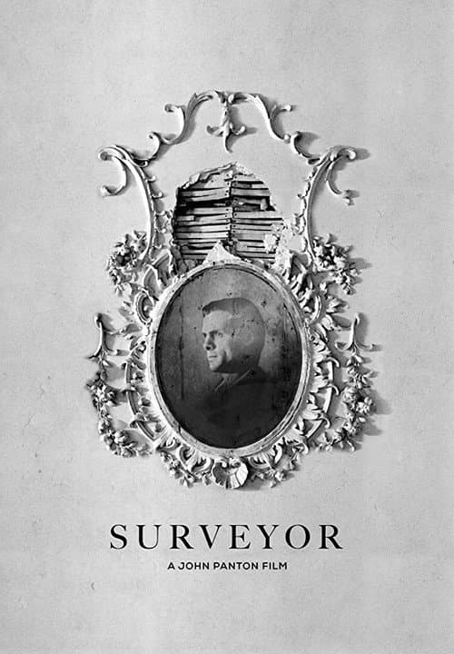 Surveyor (2018) poster
