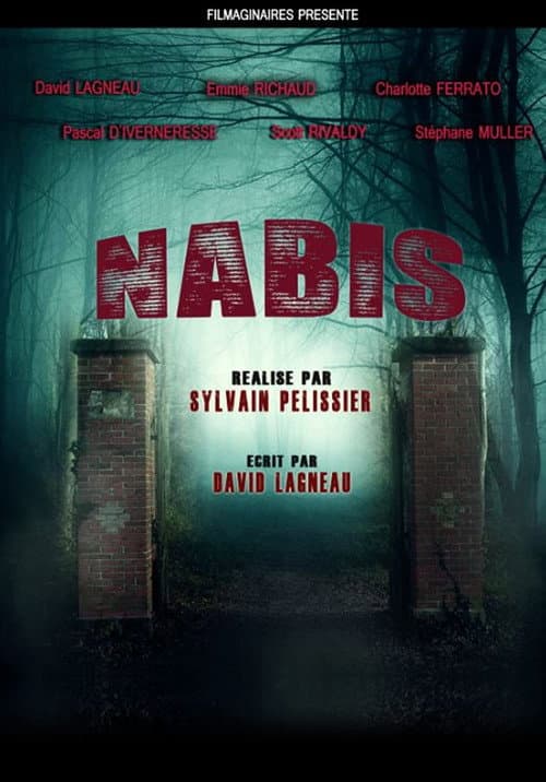 Nabis (2018) poster