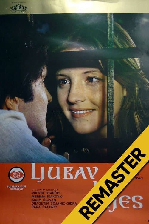 Ljubav i bijes (1978) poster