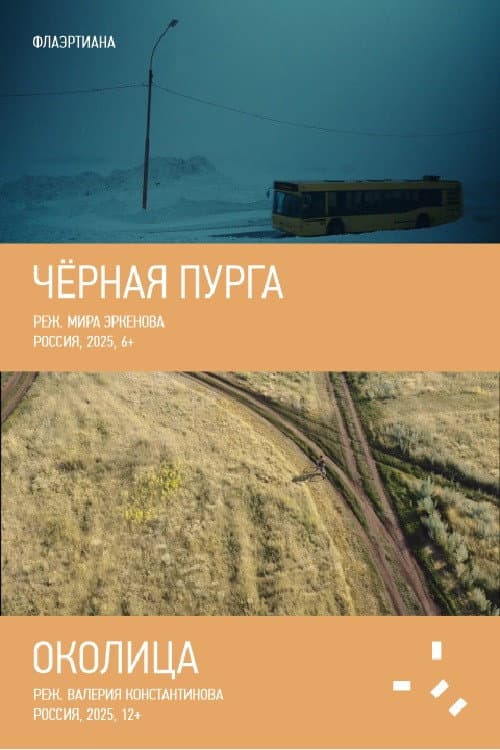 Чёрная пурга (2025) poster