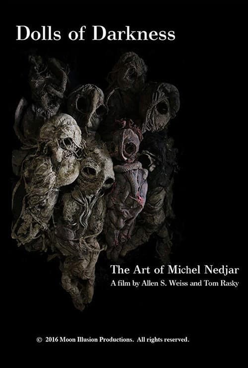 Dolls of Darkness: The Art of Michel Nedjar (2016) poster