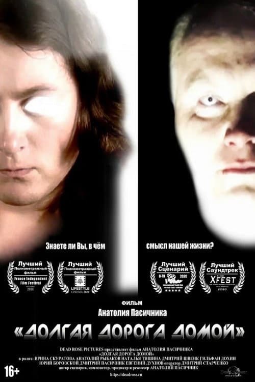 Долгая дорога домой (2017) poster