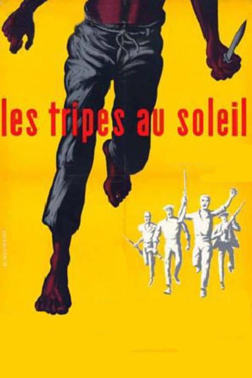 Les tripes au soleil (1959) poster
