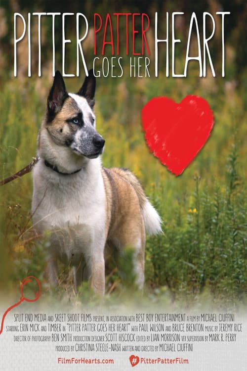Pitter Patter Goes Her Heart (2015) poster