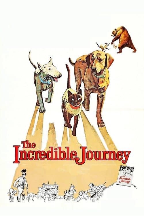 De Ongelofelijke Reis (1963) poster