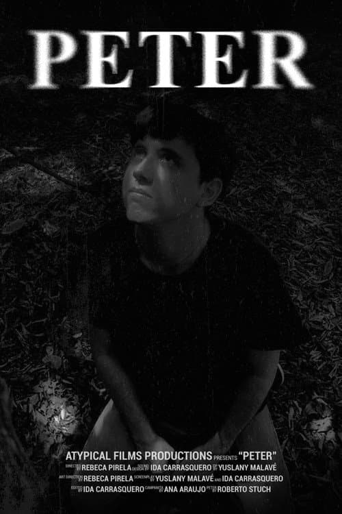 Peter: El precio de la juventud (2024) poster