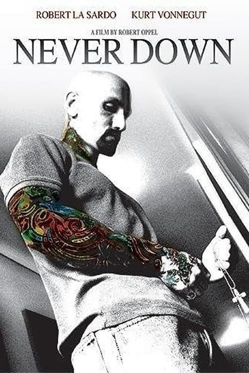 Never Down (2007) poster